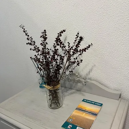 Casablanca 95 Lejlighed Vigo