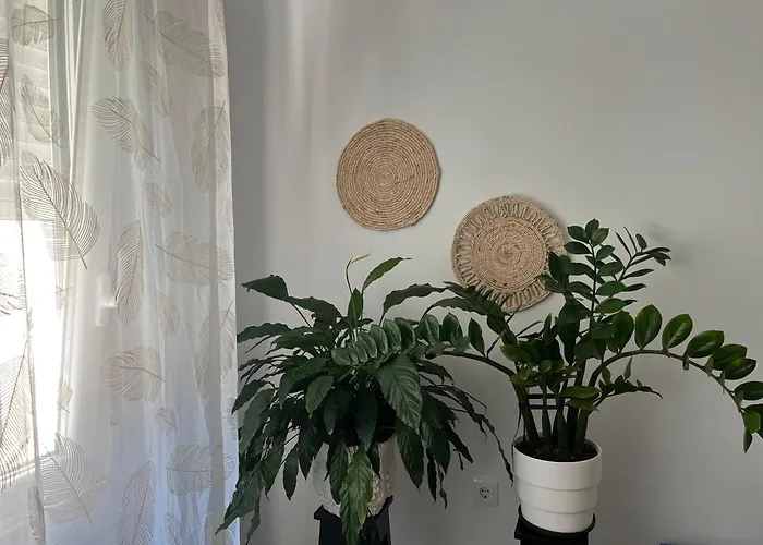 Casablanca 95 * ויגו